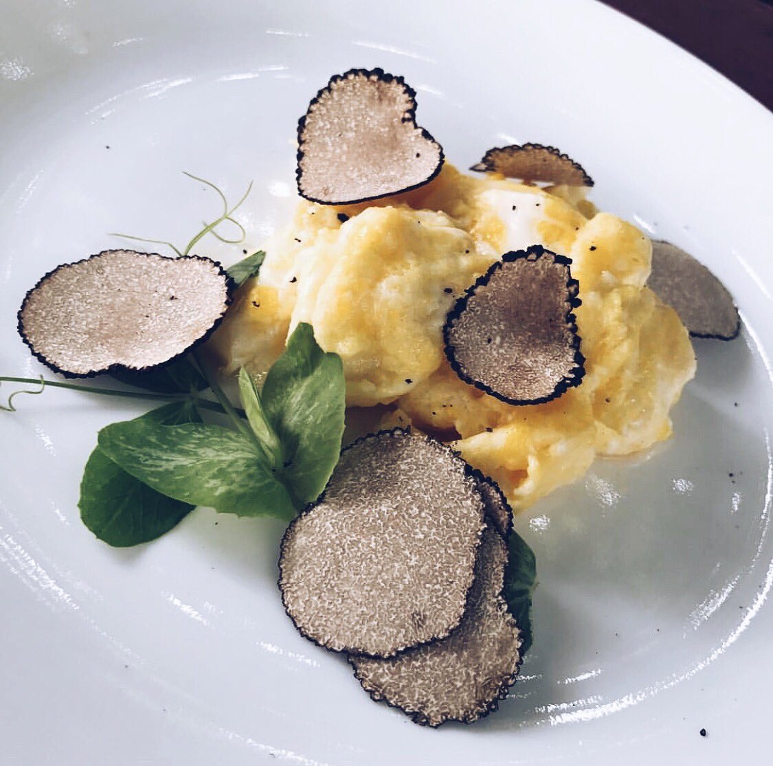 UrbaniTruffles's tweet photo. All happiness depends on a leisurely breakfast © Photo credit: #ChallengeIngredient. #UrbaniTruffles https://t.co/mdhtUbsMyj