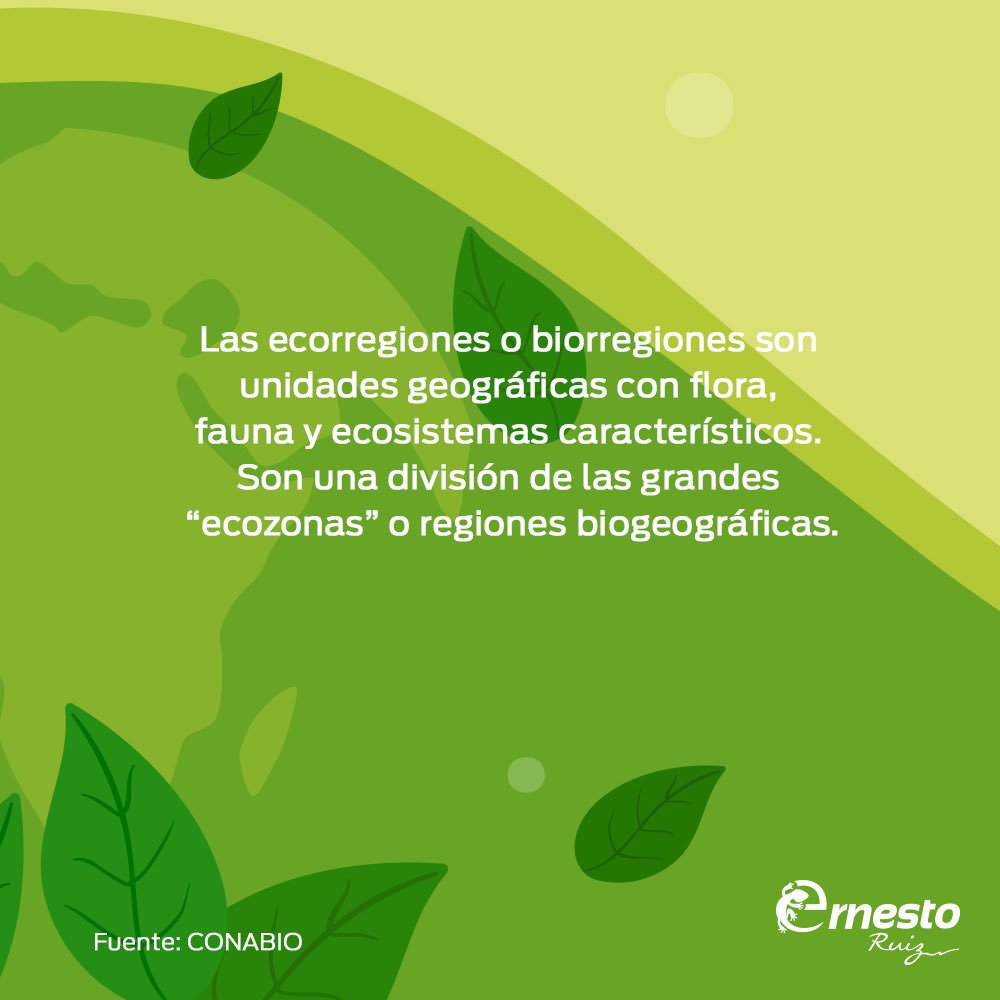 JErnestoRuiz's tweet photo. Existen ecorregiones terrestres, marinas y dulceacuícolas. Conocer nuestras regiones nos permite valorarlas. #Oaxaca https://t.co/Wqclvaucz2
