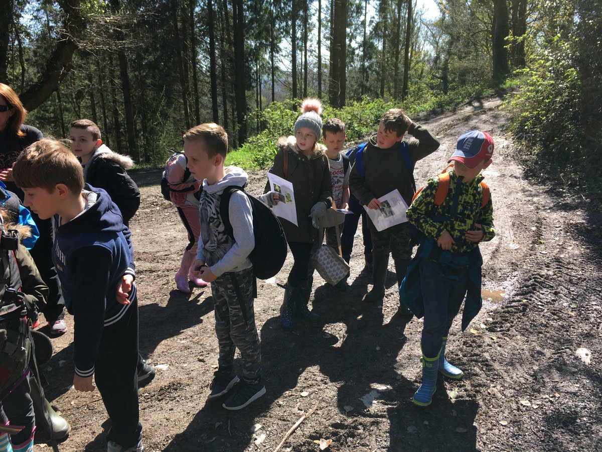 cockington_pri's tweet photo. Class 4D have arrived safely at Balcombe Camp for their residential. The children have been having a lovely time in the sunny weather, in fact they've been so excited that, apparently, they were awake at 5:15 in the morning ready for the day ahead. https://t.co/maYZiSyp3R