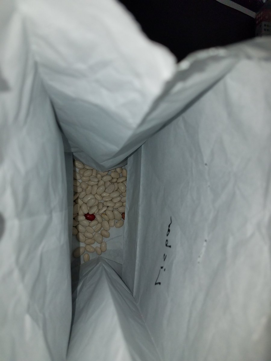 MeghanHopkins tweet media