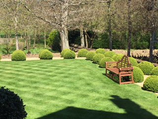 Summer has arrived at Lanes!