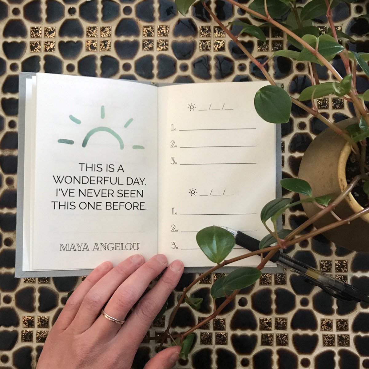 ParaboPress_old's tweet photo. Where do you keep your #ParaboBox Gratitude Journal? We love tucking it in our purse to-go, on the coffee table, and right by our bed for those morning thoughts of gratitude ☀️#thursdaythoughts #ThankfulThursday https://t.co/oFC46lO2JX