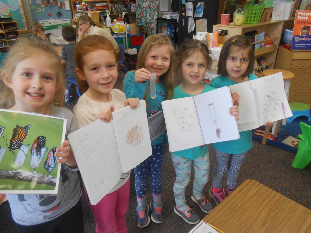nconsaul's tweet photo. #spontaneousinquiry "What is this?" "Lets record our observations in our inquiry journal!" "It's moving!" It's a pupa!" "We are scientists!" 
#futurescientists https://t.co/yQFGwTq0JX