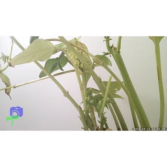 conceptiasis's tweet image. Another useless video. ift.tt/2HgPDm5