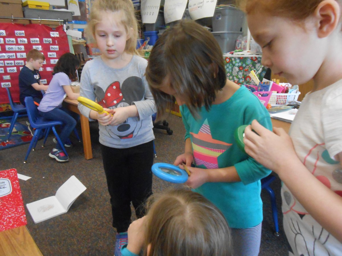 nconsaul's tweet photo. #spontaneousinquiry "What is this?" "Lets record our observations in our inquiry journal!" "It's moving!" It's a pupa!" "We are scientists!" 
#futurescientists https://t.co/yQFGwTq0JX