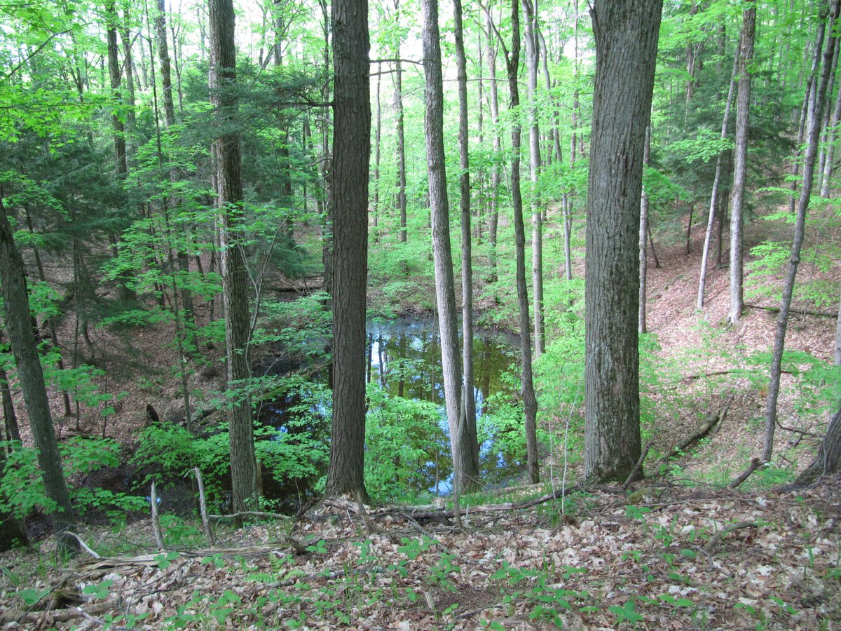 If you’re interested in joining our great team dedicated to protecting the land we all love in the Kawarthas 
Check out: Stewardship Technician Deadline: Apr 23 Noon #Conservation #jobs kawarthalandtrust.org/employment-opp…