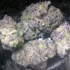 Freeman806's tweet image. Will you fight for cannabis to be legalize in your Country .??