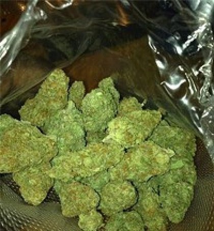 Freeman806's tweet image. Will you fight for cannabis to be legalize in your Country .??