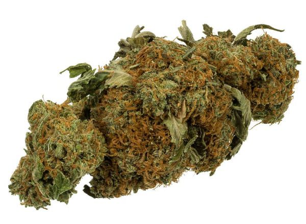 Freeman806's tweet image. I don't use Chemicals on my Marijuana all real shit