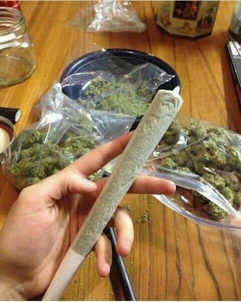 Freeman806's tweet image. How many times do you smoke in a day??