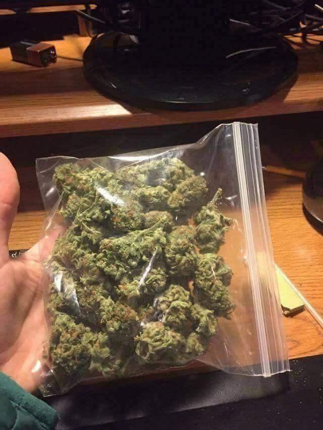 Freeman806's tweet image. I don't use Chemicals on my Marijuana all real shit