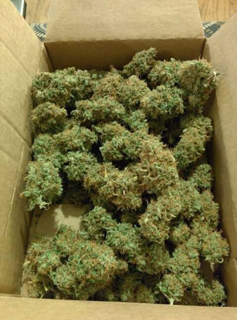 Freeman806's tweet image. Will you work for me if I send you All if this ??