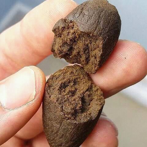 Freeman806's tweet image. Will you work for me if I send you All if this ??