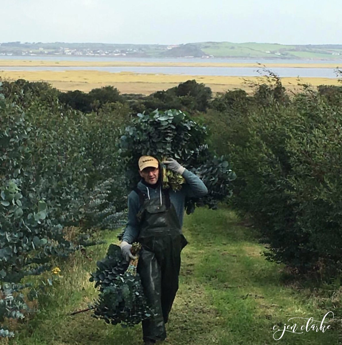 FloraDirect's tweet photo. Eucalyptus is now out of season until the end of August (very sad we know!) https://t.co/0kxRDIifYw