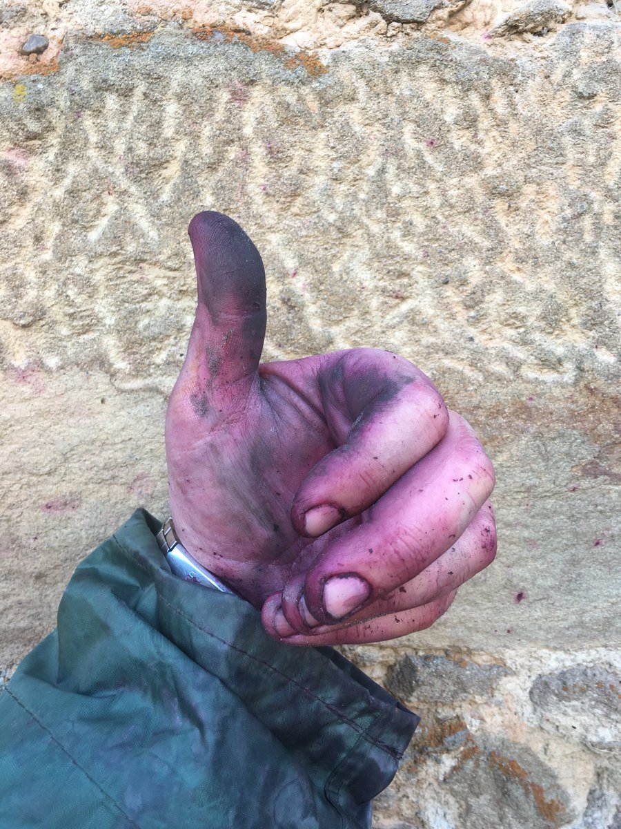 grblanco's tweet photo. ¡Mundo! ¡Que hoy es el día internacional de la #bicicleta ! ¿Lo celebramos con un #LaBicicletaVoladora ? #Artesano #LivelyWines #Artisan #Eco #ecocertified #organiccertified #Rioja https://t.co/ghUZMl2UoX