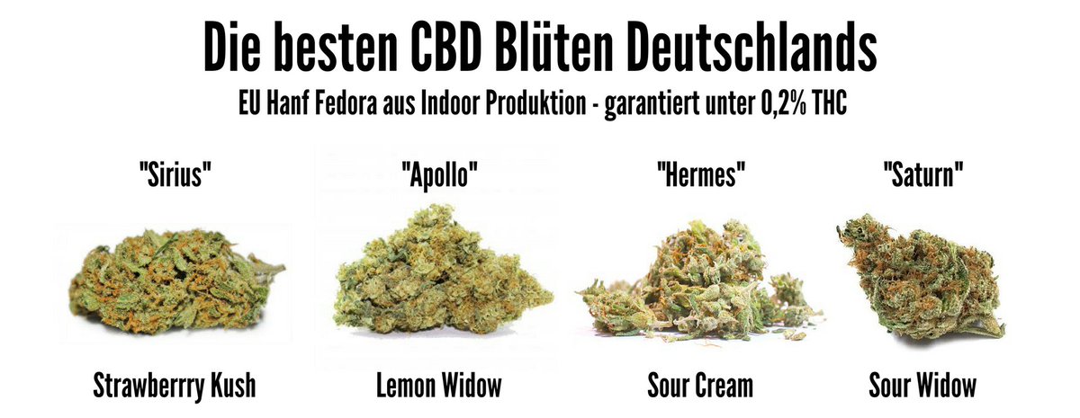 HanfProfessor's tweet photo. https://t.co/VdGDEaNv5s

Neues in der Wissenschaft über CBD:

Angebote im Shop: https://t.co/rA6c09SnsV
CBD Blüten Mond mit extra-Inhalt: https://t.co/WtWRfTi1EG
CBD Blüten Schnitt, günstig und gut: https://t.co/0Ym2zq2ZwU

#cbd #hanf #cbdblüten #cbdöl #hanfextrakt #cannabidiol https://t.co/GbDXHn41Ae