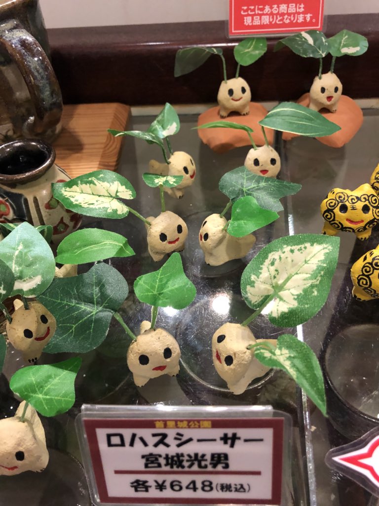 星空夢人topdandy 相互フォロー Yumetopdandy Twitter