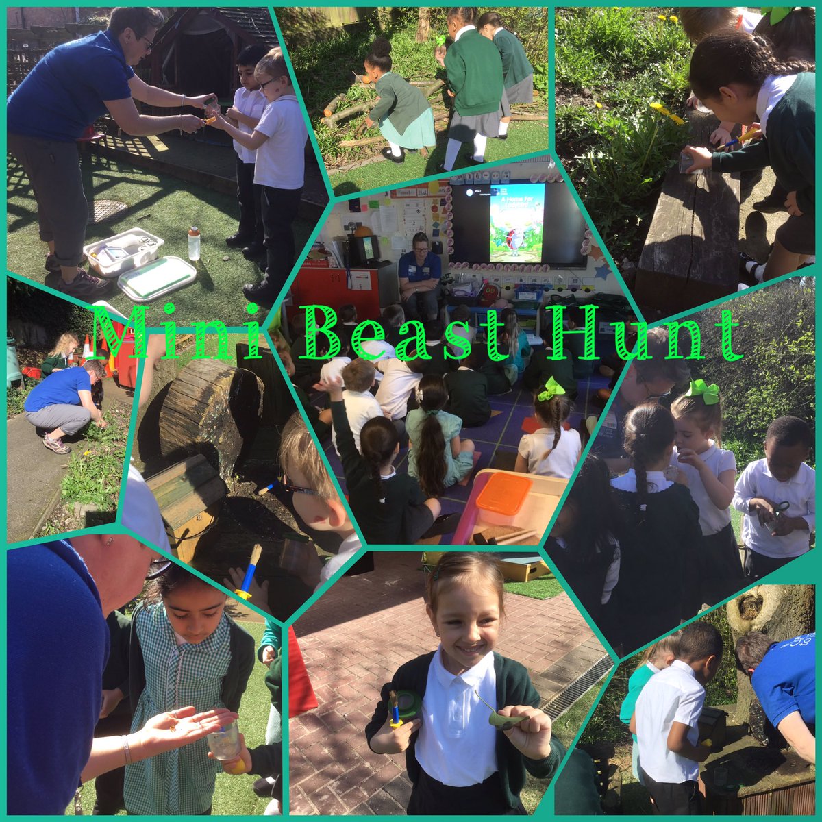 BirchesGreenPri's tweet image. Robins have been on a minibeast hunt, they have found out lots of interesting facts. Thank you Helen.🦋🐞🕷🐛🐝#rspb_learning