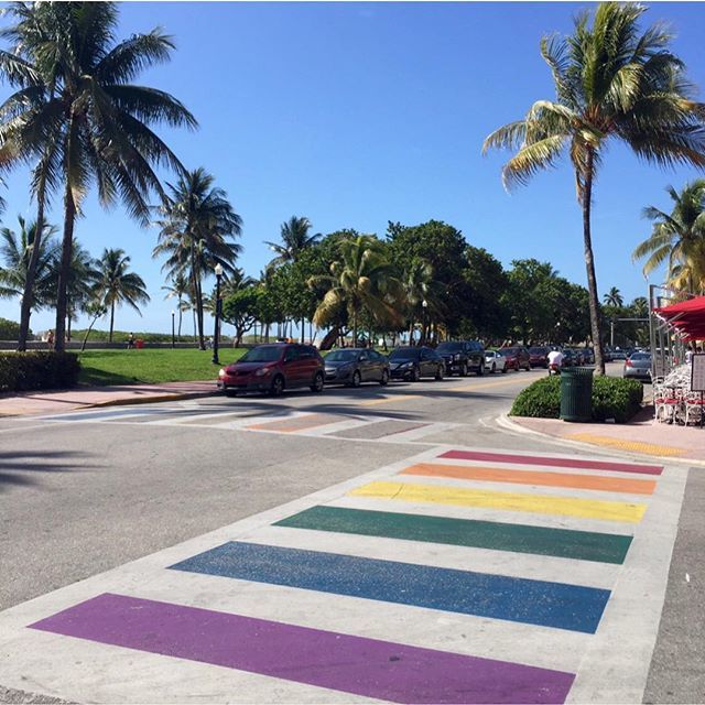 sarahfw40's tweet photo. Throw back to beautiful South Beach Miami and their amazing rainbow coloured crossings! 🌈 Anyone else been watching American Crime Story? It’s been making me reminisce about Miami so much! 🙌🏻 🍹
•
•
•
#miami2015 #miamivibes #southbeachmiami #miami… https://t.co/NJGrHB4Z0n https://t.co/HM7VB7auxX