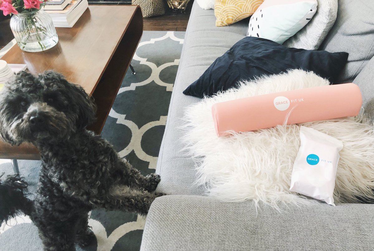 OMGgemma's tweet photo. my @gracefituk barbell pad came but I believe it now belongs to maddie 🌚 the actual look on her face when I go near it 😂 also got my mum a band 🙃 #mumpeach #shesgoingtohateme #arseonfire https://t.co/wtY5r1YDJ9