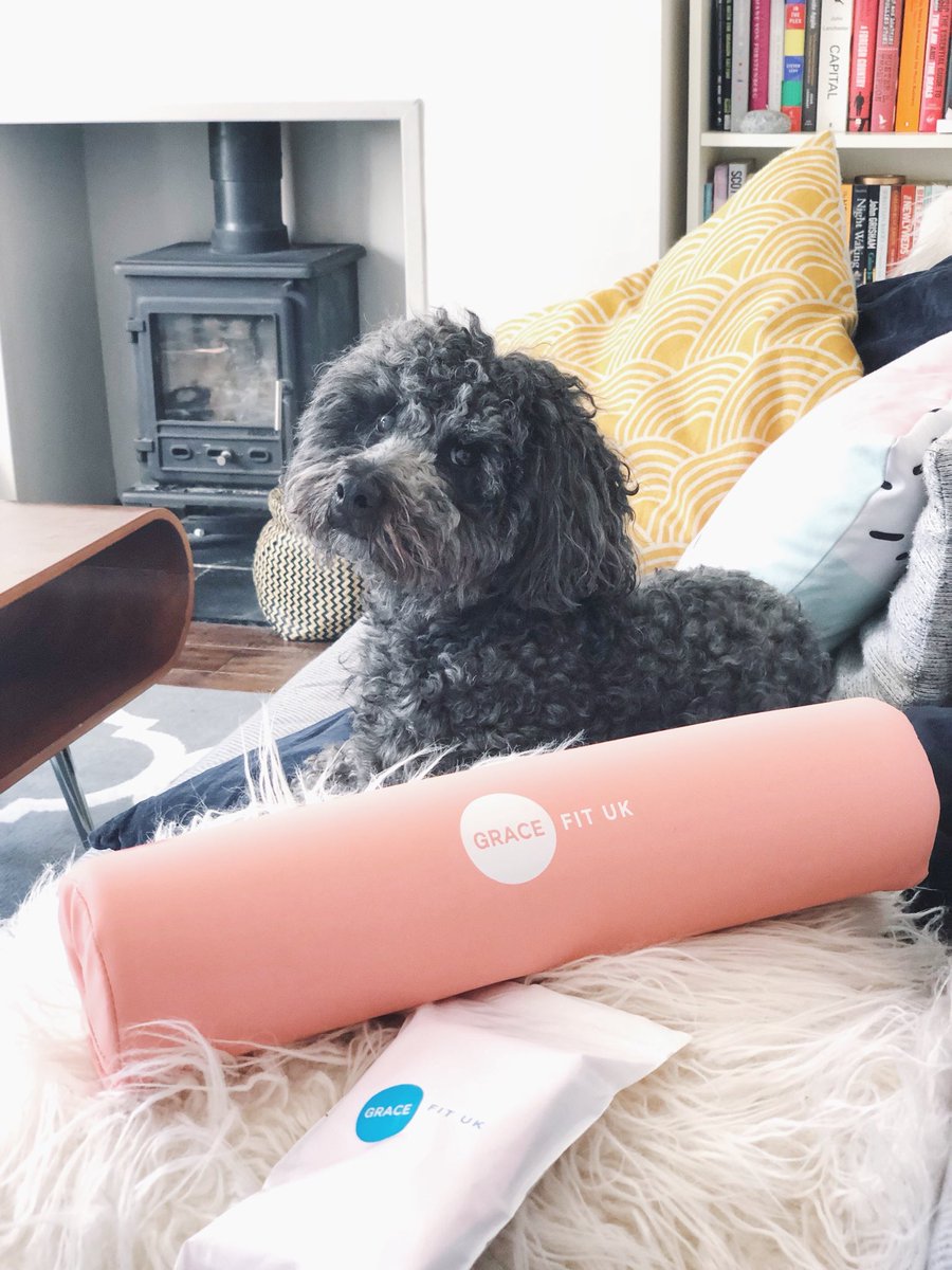 OMGgemma's tweet photo. my @gracefituk barbell pad came but I believe it now belongs to maddie 🌚 the actual look on her face when I go near it 😂 also got my mum a band 🙃 #mumpeach #shesgoingtohateme #arseonfire https://t.co/wtY5r1YDJ9