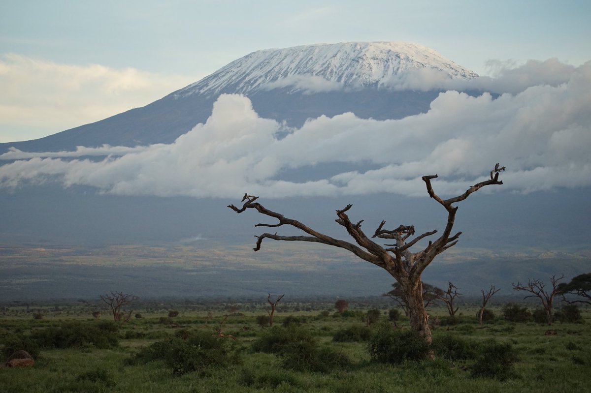 pswguide's tweet image. โมเมนต์แรกที่เห็นคิลิมันจาโรคือขนลุกและน้ำตาซึมเลย คือมันยิ่งใหญ่มาก สวยมากกกก ตอนเห็นฟูจิก็จะร้องไห้ไปรอบนึงละ คิลิฯคือยิ่งกว่า ชีวิตนี้ต้องไปพิชิตยอดเขาให้ได้ รอก่อนนะ