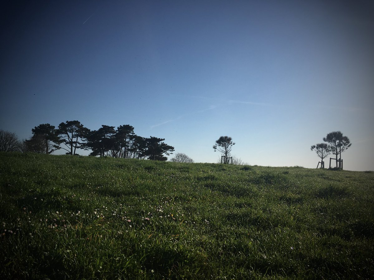 thecherylhadley's tweet image. Worth getting up at 7am to see this. That summer feeling has finally arrived !
Our morning walk with this stunning view! #feelingpostive #readyforthedayahead #sunshinevibes #birdsarechirping #calm #tranqil #phonephotography
