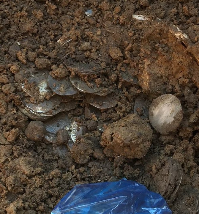 More pictures on the midweek searchers massive hammered coin hoard found today by Darcy. Wonder how many will be in there and if there is any gold ones hiding in it? #hoard #metaldetecting #civilwar