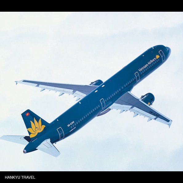 ベトナム航空 Twitter Search