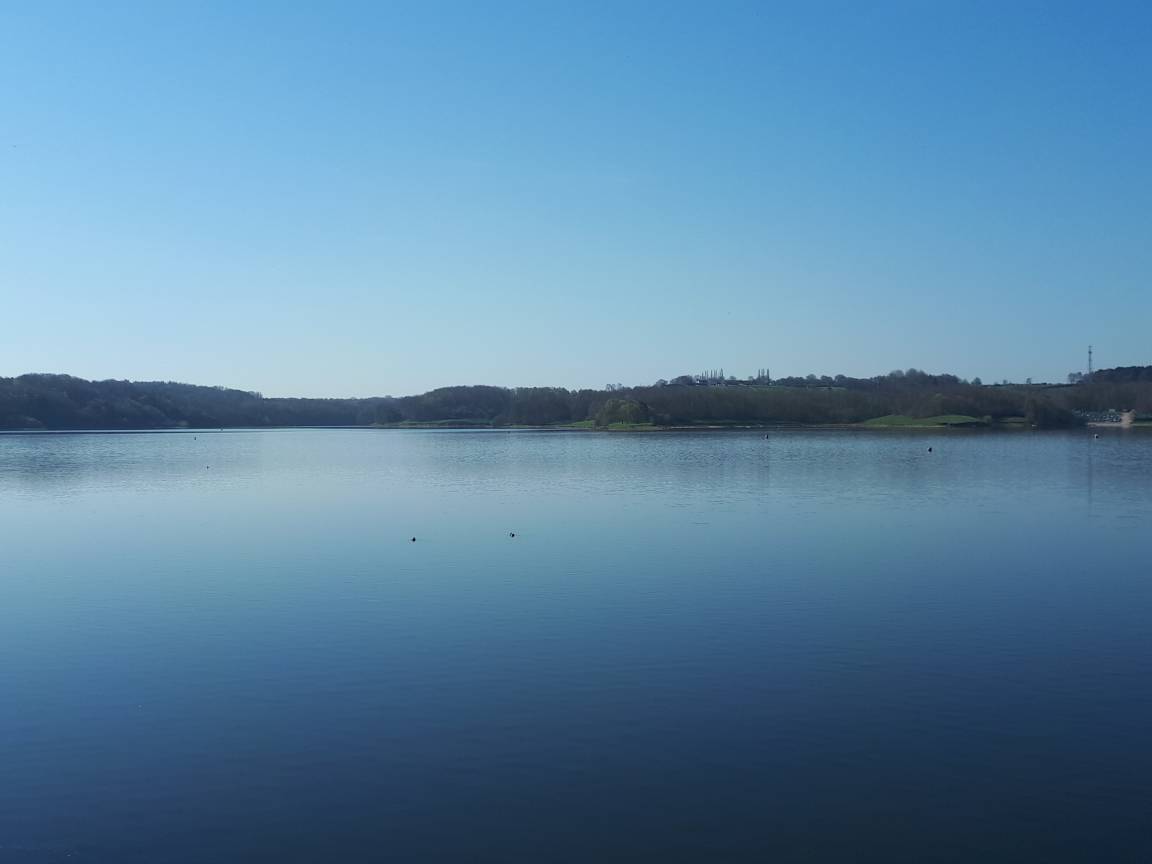 Foremark is glorious today, and the cafe is open serving much needed ice cream!