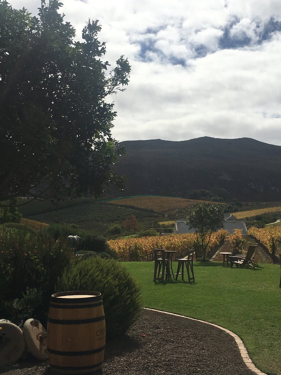 Sou_Chabada's tweet photo. Beautiful view from #creationwines and very nice MCC to begin with @creationwines #enjoylife #winepairing https://t.co/NsEbzKf0ml