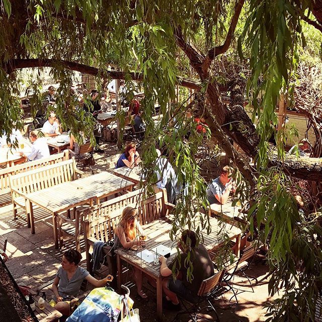 Come and enjoy the #britishsummer with us in our #beergarden #28degrees #sunnyvibes #thursdaymotivation #gastropub @goodpubguide @timeoutlondon @pubs_of_london @pubsofinstagram @londonpubexplorer @thelondonpubmap @prettypubs @pubsoflondon @islingtonnow @islington_london @isl…