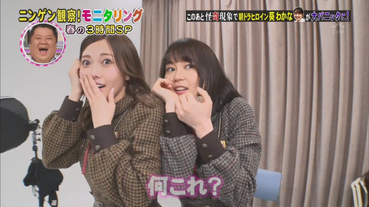 モニタリング 白石 麻衣