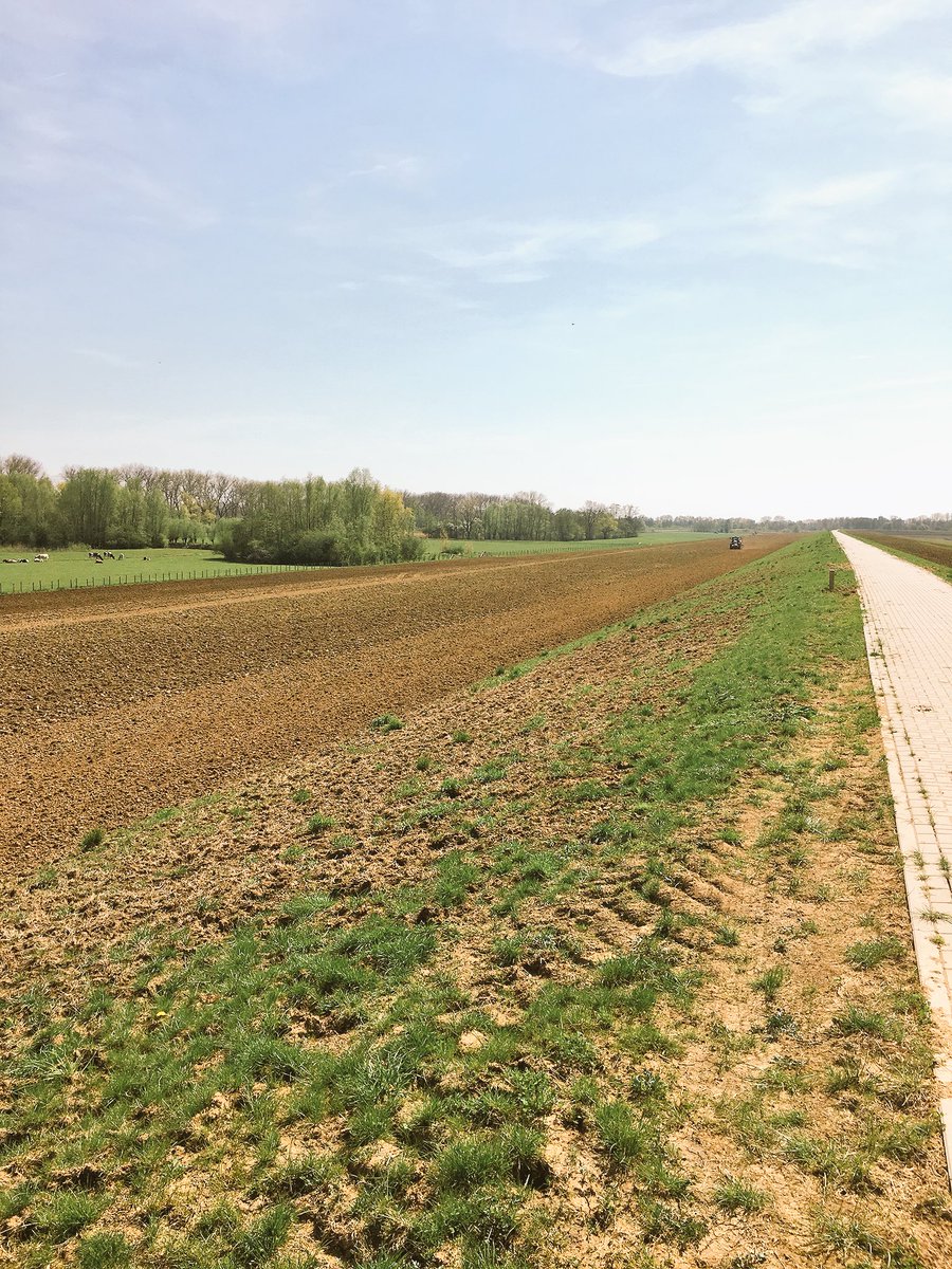 @Tom_Veenhoff (@tomveenhoff) on Twitter photo 