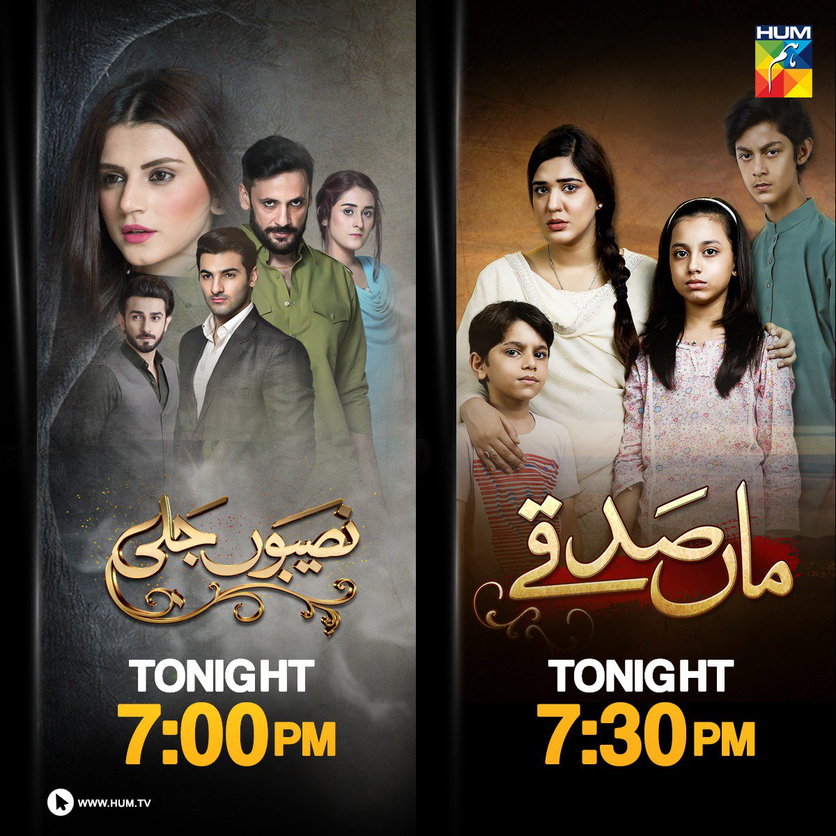 HUM TV on Twitter: "Watch Tonight on #HUMTV Watch all dramas: https://t