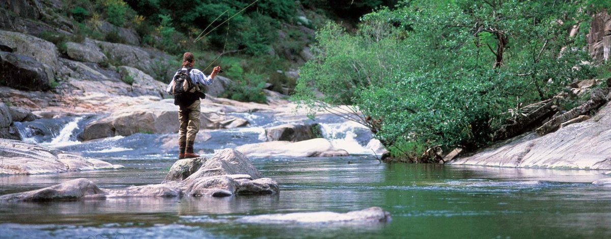 [#LOZERE : LE PARADIS DES PÊCHEURS] 🐟 Une histoire de #pêche par nature 🐟 en #lozerenaturellement #nokill #tarn #jonte #allier #altier #bes #gardonscevenols #lot #Chapeauroux #colagne #truyere #truitefario #paradis #rivieres #decouverte  #sportnature bit.ly/lozerepeche