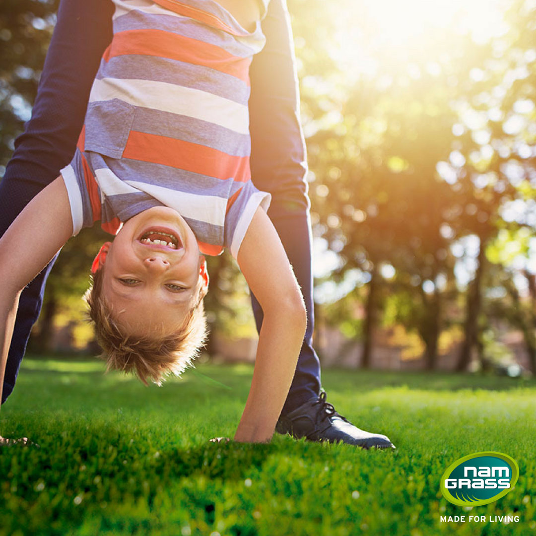 Namgrass's tweet photo. Give yourself the gift of time this summer holidays. Namgrass is low maintenance so you can have more fun with the kids. Go on, give it a try! https://t.co/Y2CjXZ7nNJ https://t.co/6L1xI4af6t