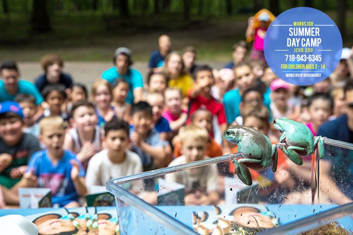 Have your kids join Marks JCH Summer Day Camp this summer to immerse themselves in an experience of a lifetime. 
bit.ly/2HAOTvm
#summercamps #Brooklyncamps