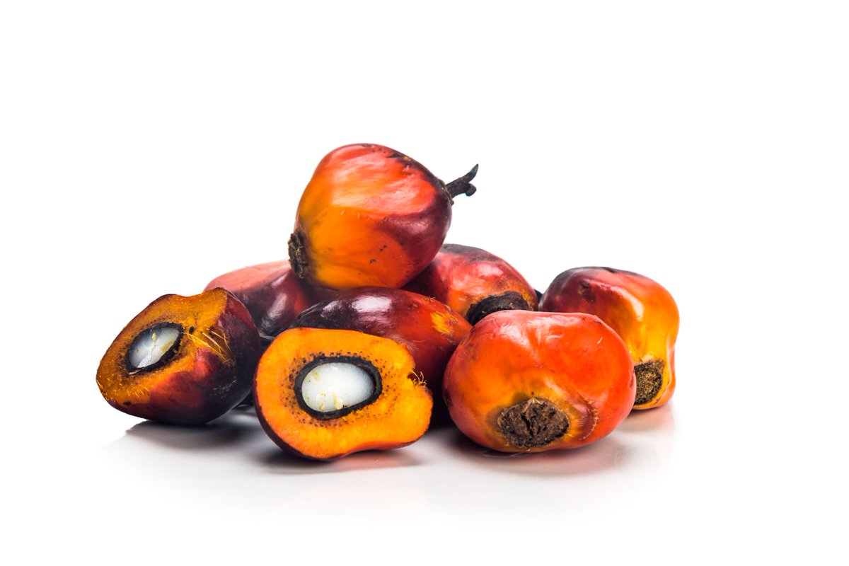 Jointly committed to sustainable palm: In 2017, BASF became a member of the Forum for Sustainable Palm Oil FONAP as a manufacturer of oleo derivatives. #fonap #sustainability #sustainablepalmoil on.basf.com/2EZCifP on.basf.com/2EZCifP