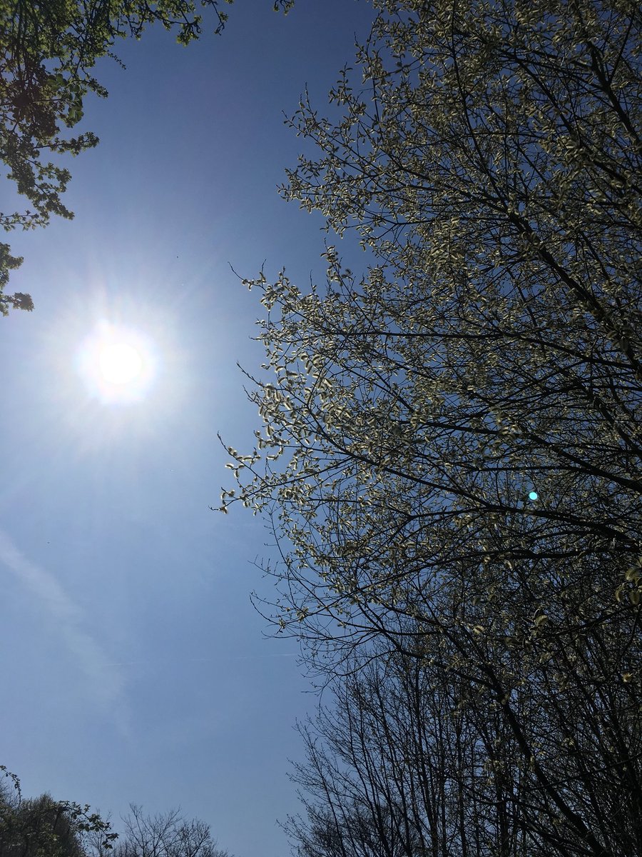 annalou1978's tweet photo. Just out, avoiding people and Spring spotting π #york #cycleroute66 https://t.co/S4yygYlR6S