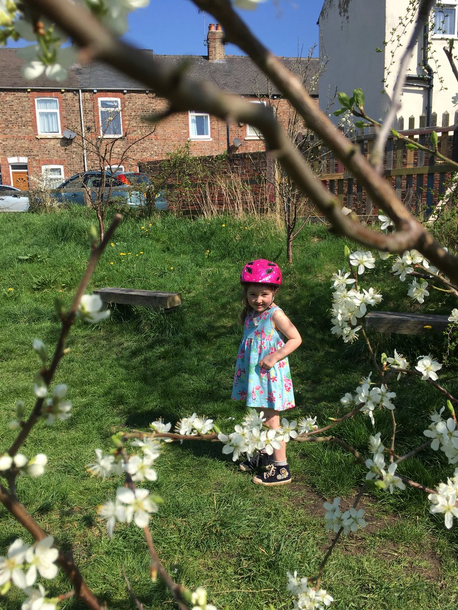 annalou1978's tweet photo. Just out, avoiding people and Spring spotting π #york #cycleroute66 https://t.co/S4yygYlR6S