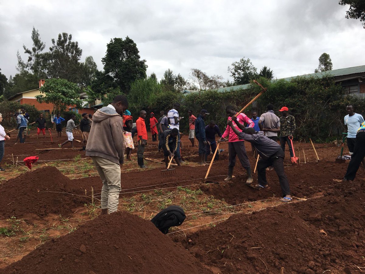 Thrive4Good's tweet photo. Morning discussions, fabulous 50 lessons and double digging fill the day for our students in Kitale, Kenya. Keep up the good work! #growhealth #doubledigging #agriculture #africa #kenya #nutrition #organics https://t.co/Ior9RCAjCs