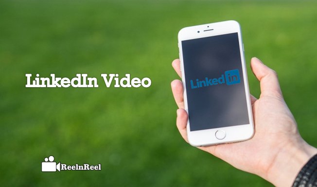 Waywire tweet media