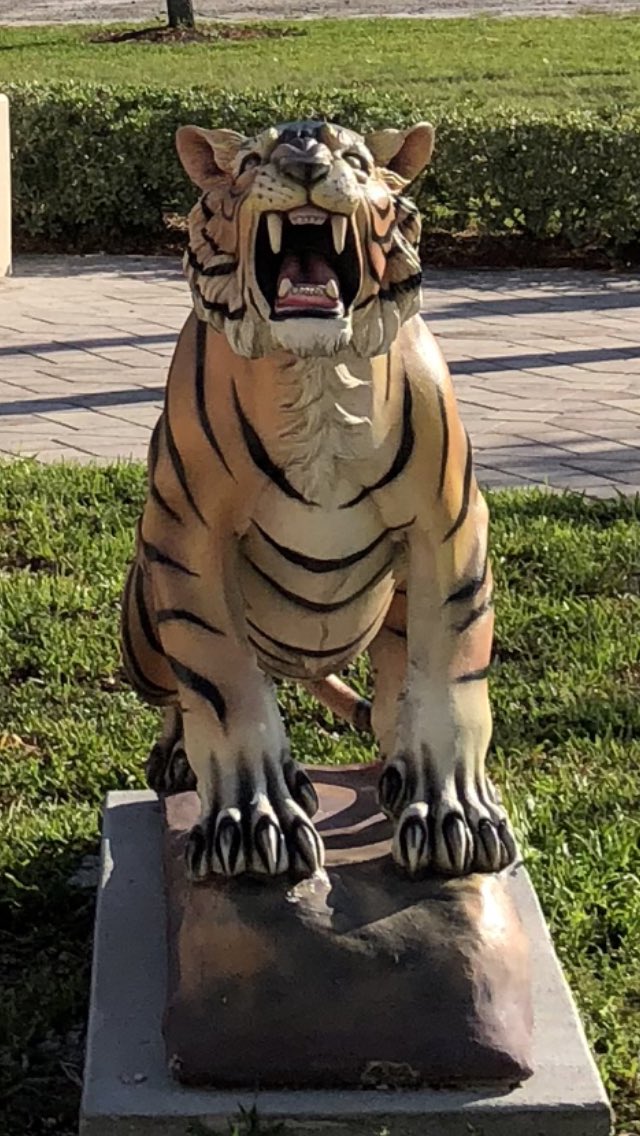 pjdaoust's tweet image. The SIS Gateway Pilot is a “roaring” success at BB High! Ss and Ps can check grades, attendance and grad report! Go Tigers! @guarn_sims @southPbcsd @SuptFennoy @pbcsd #sisforall #MakeItCountPBC