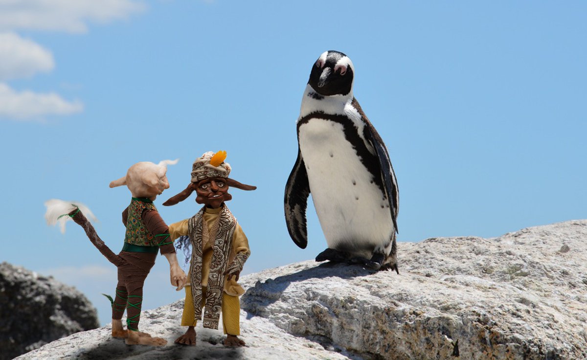 Sir Vival &amp; Mustaffa Cuddle went to the beach today to warn children about the dangers of jumping off rocks into the sea, when they came across this little fellow #penguin #Autism #autistic #AutismAwareness #beach #RockAdventure #ortical #autismlove #ThursdayThought #dangerous