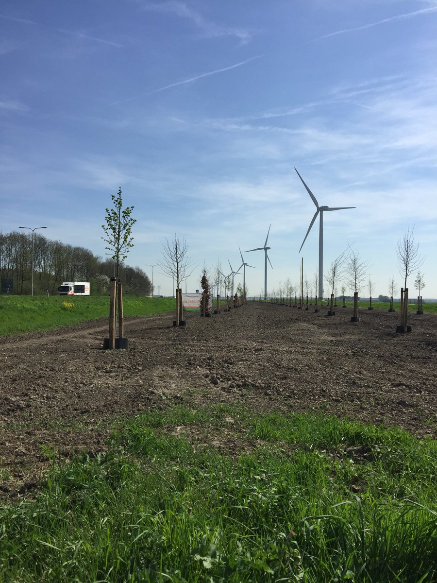 FlevoWegen's tweet photo. #Bomen Nijkerkerweg Werk gereed!
☀️ Vochtigheid van de grond nog +40% dus groeien maar! #Berdi #Flevoland https://t.co/zMyDp0WqZt