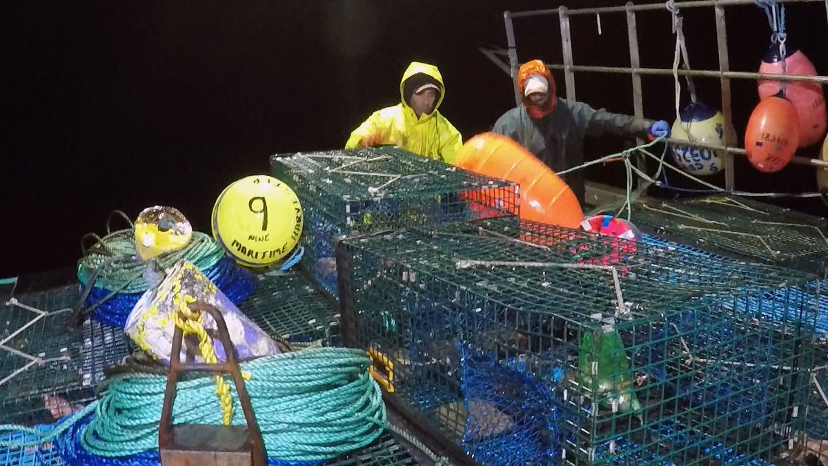cbclandandsea's tweet photo. Winter #lobster #fishing is not for the faint of heart. Hear about these tough harvesters and more #Maritimers battling the #cold, #snow and #ice to make a living outdoors. Sunday @ 11:30 am. @CBCNS @brianduber @CoastGuardCAN #ocean #coastal https://t.co/oCaBUZkvcG