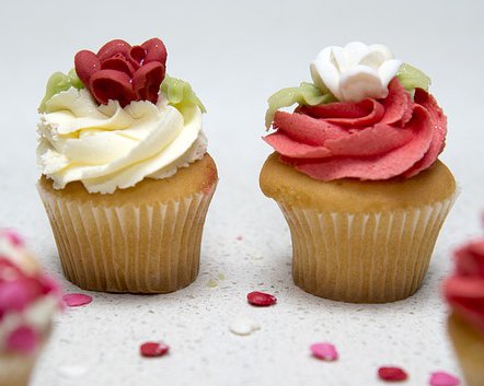 bvsdLLLKids's tweet photo. yummmmmm...taste the sweet savings! use the code- earlybird18 -by April 30th for 10% off all #bvsdlll summer camps! https://t.co/mv4MlWvKr0