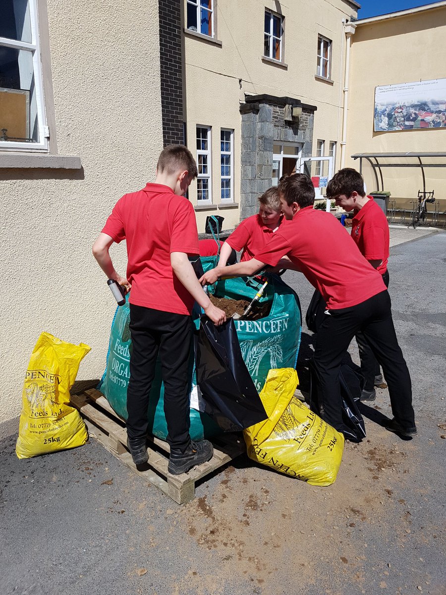 amaethYHR's tweet photo. Cystadleuaeth Tyfu tatws wedi dechrau #tatws #pridd #tywyddbraf @YsgolHR @Ffermio @localfoodhuw @garddioamwy https://t.co/TiHT61hth5