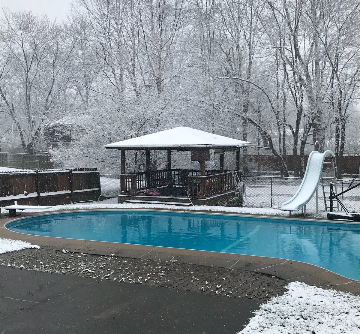 Lanne73's tweet photo. Pool’s open! 😂 https://t.co/S5wWbiyZKR